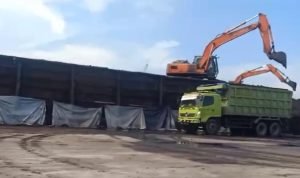 Tumpahan Batu Bara di Dermaga IKD Pelabuhan Belawan Dibersihkan