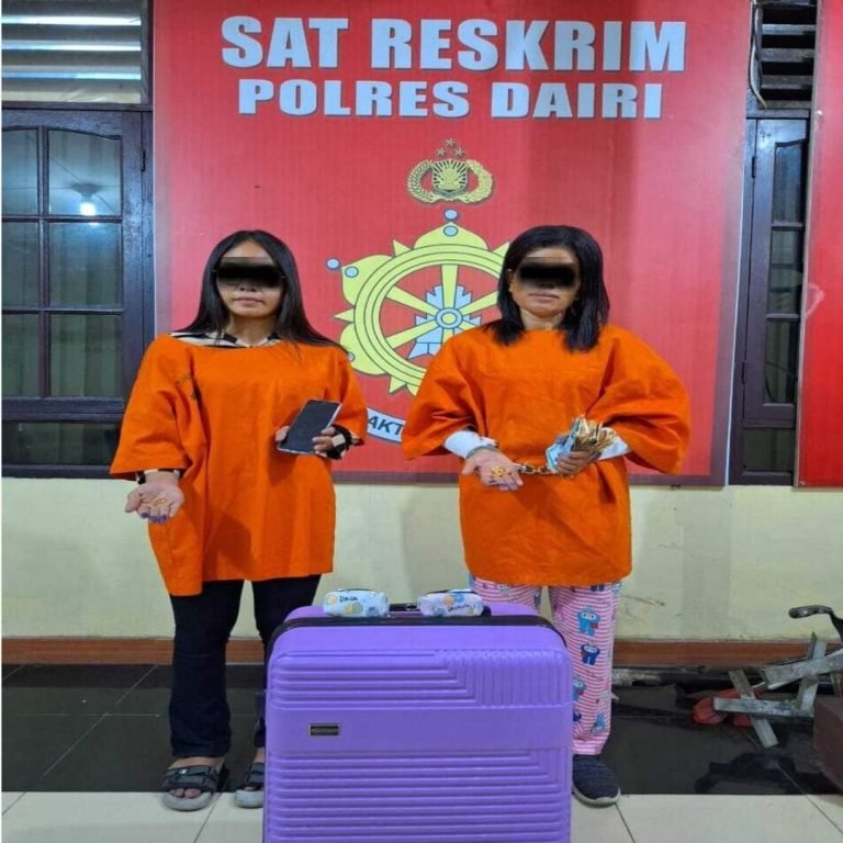 Sat Reskrim Polres Dairi Berhasil Ringkus Asisten Rumah Tangga dan Babysitter Pencuri Rp 20 Juta di Sidikalang