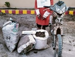Unit Reskrim Polsek Bilah Hilir Tangkap Pelaku Pencurian dengan Pemberatan di PT. Bilah Plantindo