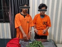 Dua Orang Pemilik Ganja, Ditangkap Satnarkoba Polres Tanah Karo Tanah Karo