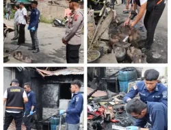 Tindak Lanjut Insiden Kebakaran Warung di Kabanjahe, Bidlabfor Polda Sumut Lakukan Olah TKP