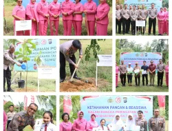 Semarakkan HUT Bhayangkara, Polres Tebing Tinggi Penanaman Pohon dan Beri Beasiswa Kepada Pelajar Berprestasi