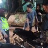 Polres Tebing Tinggi Gelar Patroli Skala Besar, Berhasil Amankan 2 Motor dan Lakukan Tes Urine