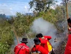 Kebakaran Hutan di Bukit Hapoan Berhasil Dipadamkan Setelah Sehari Berjibaku