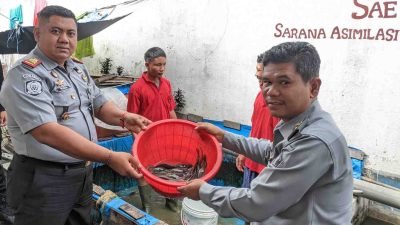 Lapas Kotapinang Sukses Panen Ikan Lele Hasil Program Pembinaan Warga Binaan