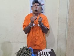 Polres Langkat Tangkap Warga Pangkalan Susu Pemilik 500 Gram Ganja