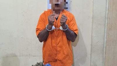 Polres Langkat Tangkap Warga Pangkalan Susu Pemilik 500 Gram Ganja