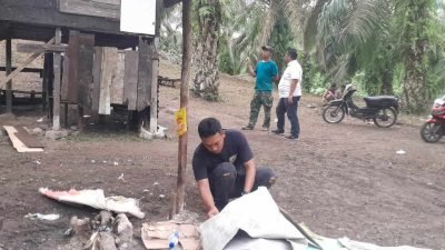 Polsek Aek Natas Gerebek Sarang Narkoba di Dusun I Desa Kampung Yaman