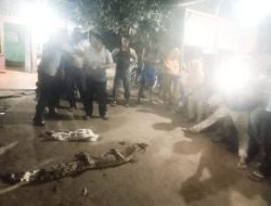 Penemuan Seekor Buaya di Parit Sungai Dalu-Dalu Desa Tanah Rendah, Batu Bara