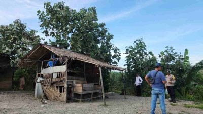 Polres Langkat Grebek Sarang Narkoba di Area Perkebunan Sawit