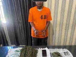 Polres Tanah Karo Berhasil Ungkap Kasus Narkotika Di Desa Lau Baleng