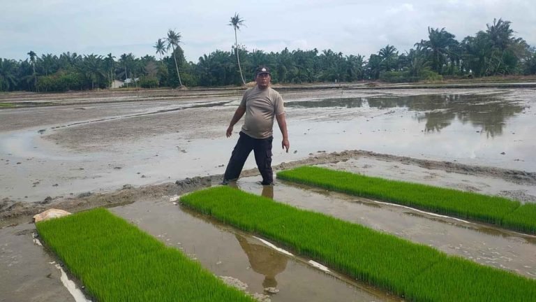 Bhabinkamtibmas Polsek Medang Deras Dukung Ketahanan Pangan Lewat Pengembangan Lahan Pertanian