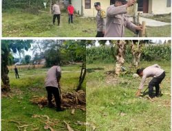 Polsek Onanrunggu Manfaatkan Lahan Kantor untuk Dukung Program 100 Hari Kerja Presiden Melalui Penanaman Jagung