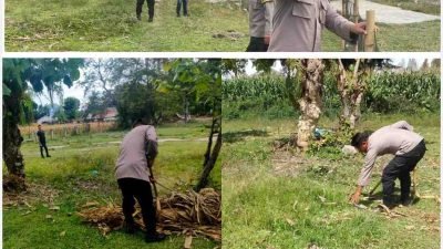 Polsek Onanrunggu Manfaatkan Lahan Kantor untuk Dukung Program 100 Hari Kerja Presiden Melalui Penanaman Jagung
