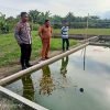 Kapolsek Indrapura Tinjau Lahan Ketahanan Pangan di Desa Aras, Dukung Program Pemerintah