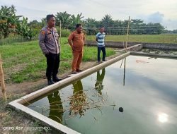 Kapolsek Indrapura Tinjau Lahan Ketahanan Pangan di Desa Aras, Dukung Program Pemerintah