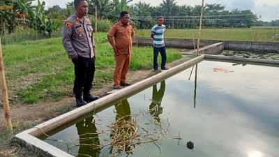 Kapolsek Indrapura Tinjau Lahan Ketahanan Pangan di Desa Aras, Dukung Program Pemerintah
