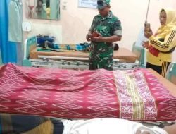 Hujan Deras Dan Angin Kencang Sebabkan Pohon Tumbang