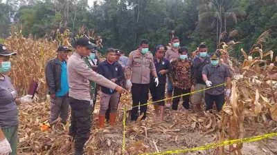 Penemuan Kerangka Manusia Di Perladangan Namo Terbang, Kecamatan Juhar