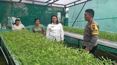 Bhabinkamtibmas Bersama PKK Kahean Panen Sayur Kangkung Hidroponik