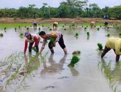 Dukung Program 100 Hari Kerja Presiden, Polsek Medang Deras Gelar Penyuluhan Ketahanan Pangan