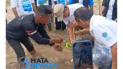 Aksi Penanaman Mangrove di Deli Serdang Sambut Hari Menanam Pohon Nasional