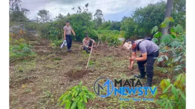 Polsek Pangururan Bantu Persiapan Lahan Ketahanan Pangan di Desa Sijambur