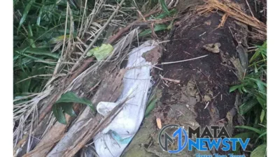 Pelajar 12 Tahun Ditemukan Tak Bernyawa di Dalam Karung di Serdang Bedagai