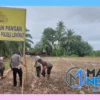 Polsek Besitang Polres Langkat Sulap Lahan Kosong Jadi Lahan Produktif, Dukung Program Ketahanan Pan...