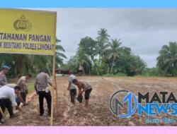 Polsek Besitang Polres Langkat Sulap Lahan Kosong Jadi Lahan Produktif, Dukung Program Ketahanan Pangan