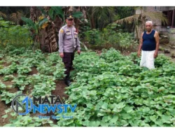 Polsek Labuhan Ruku Dukung Program Ketahanan Pangan, Ajak Warga Manfaatkan Pekarangan Rumah