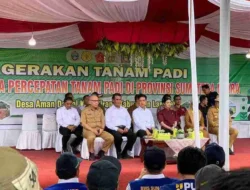 Kunker RI 2 : Peninjauan Lokasi Penanaman Padi oleh Dandim 0203/Langkat Bersama Forkopimda
