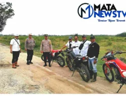 Polres Simalungun Tinjau Lahan Tumpang Sari Jagung di Kebun Karet PTPN III