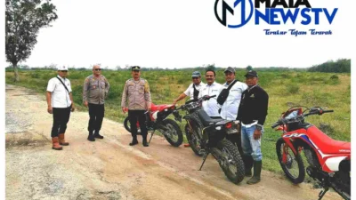 Polres Simalungun Tinjau Lahan Tumpang Sari Jagung di Kebun Karet PTPN III