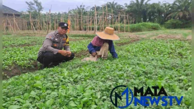 Bhabinkamtibmas Polsek Stabat Dorong Ketahanan Pangan di Desa Karang Rejo