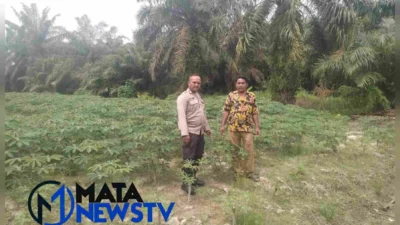 Bhabinkamtibmas Polsek Indrapura Dukung Program Ketahanan Pangan Pemerintah