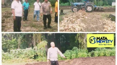 Polsek Tanah Jawa Siapkan Lahan Ketapang Dukung Program Ketahanan Pangan Presiden