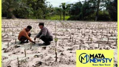 Polsek Medang Deras Dukung Program 100 Hari Presiden RI untuk Ketahanan Pangan