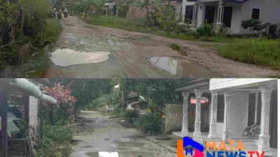 Jalan Produksi Usaha Tani di Desa Sabungan Rusak Parah, Warga Desak Perbaikan