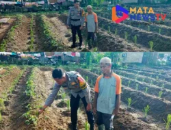 Bhabinkamtibmas Polsek Indrapura Tinjau Lahan Ketapang untuk Dukung Program Ketahanan Pangan