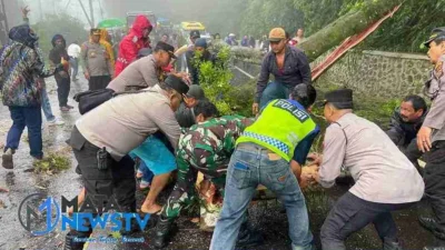 Pohon Tumbang di Jalur Berastagi-Medan Lumpuhkan Akses, Tim Gabungan Bergerak Cepat