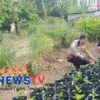 Bhabinkamtibmas Polsek Siantar Utara Sambangi Warga, Dukung Ketahanan Pangan Nasional