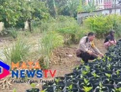 Bhabinkamtibmas Polsek Siantar Utara Sambangi Warga, Dukung Ketahanan Pangan Nasional