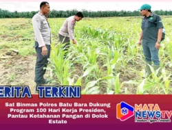 Sat Binmas Polres Batu Bara Dukung Program 100 Hari Kerja Presiden, Pantau Ketahanan Pangan di Dolok Estate