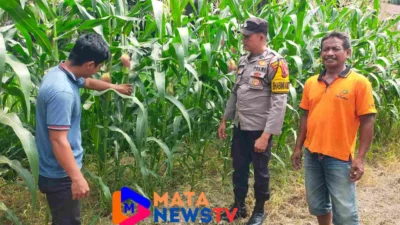 Polsek Indra Pura Dukung Ketahanan Pangan, Ajak Warga Manfaatkan Lahan Pekarangan