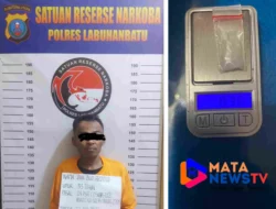 Residivis Narkoba Kembali Ditangkap Satres Narkoba Polres Labuhanbatu