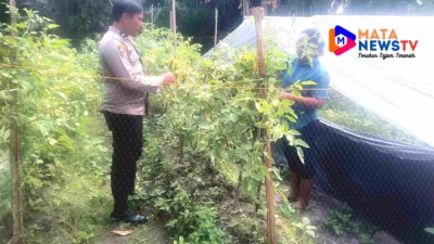 Polsek Indrapura Ajak Warga Desa Tanjung Kubah Manfaatkan Pekarangan Rumah untuk Ketahanan Pangan
