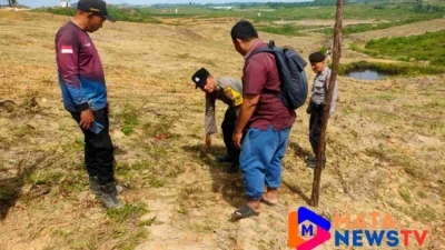Kapolsek Pangkalan Brandan Tinjau Perkembangan Tanaman Jagung di PT. PISS, Dukung Ketahanan Pangan Nasional