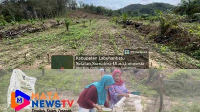 Polres Labuhanbatu Selatan Melakukan Monitoring Penanaman Jagung Serentak Di Kecamatan Silangkitang 