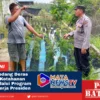 Dukung Ketahanan Pangan, Polsek Medang Deras Laksanakan Program 100 Hari Kerja Presiden